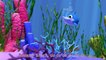 Baby Shark 2 Song  - Hide and Seek - Cocomelon (ABCkidTV) Nursery Rhymes & Kids Songs