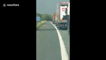 Storm Ali winds tip truck to side