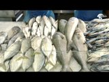 أسعار الأسماك لهذا اليوم 22-2-2016