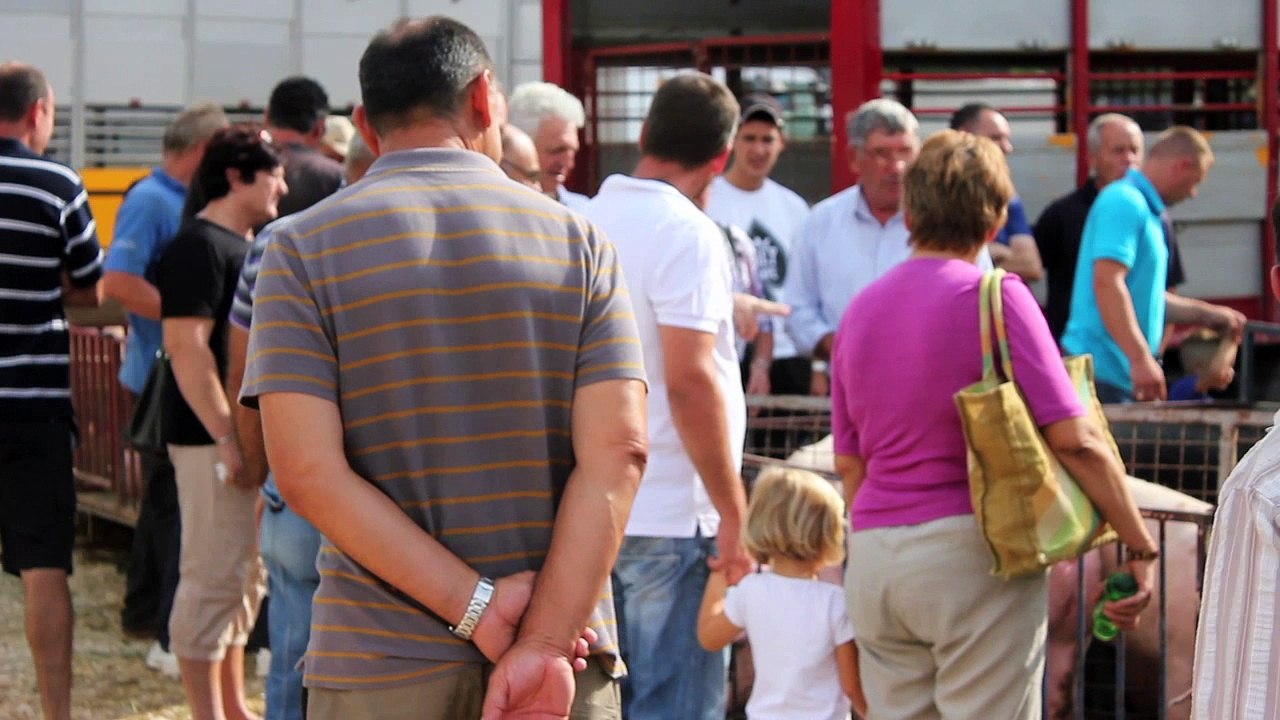 2013 - Mit dem Maestral /Full Film/Complete Movie/Ganzer Film