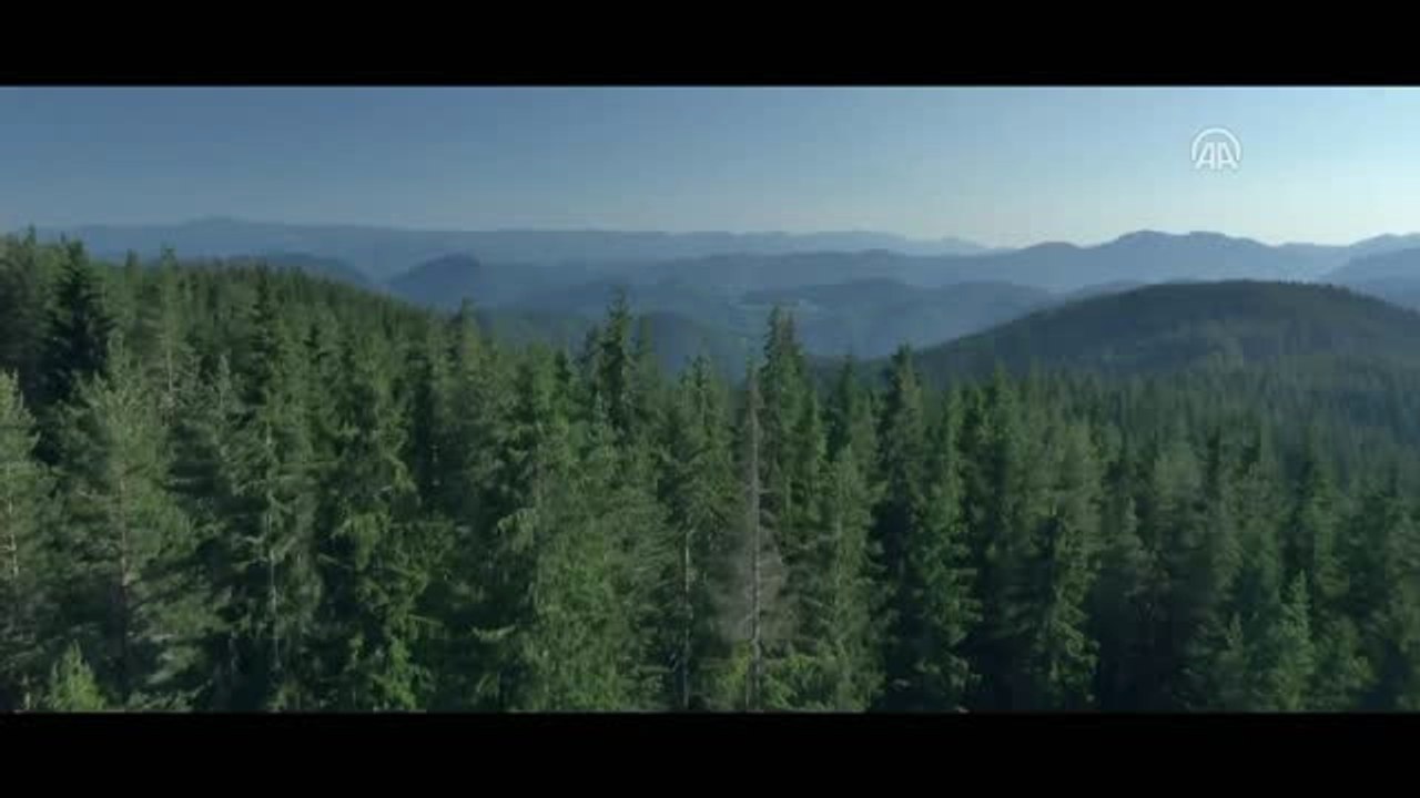 Sinema - Radiogram