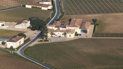 Κολομβία: Αύξηση - ρεκόρ στην καλλιέργια κόκας