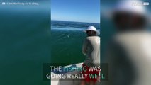 Great white shark steals man's fish