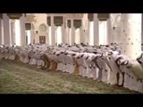 بجامع الشيخ زايد الكبير .. محمد بن زايد يؤدي صلاة عيد الأضحى مع جموع المصلين