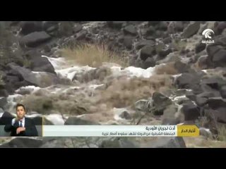 أخبار الدار : المنطقة الشرقية من الدولة تشهد سقوط أمطار غزيرة .