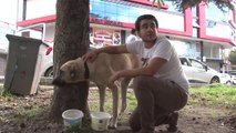 Hasta Köpeği Tedavi Ettirmek İçin Sırtında Taşıyan Koca Yürekli Genç Konuştu