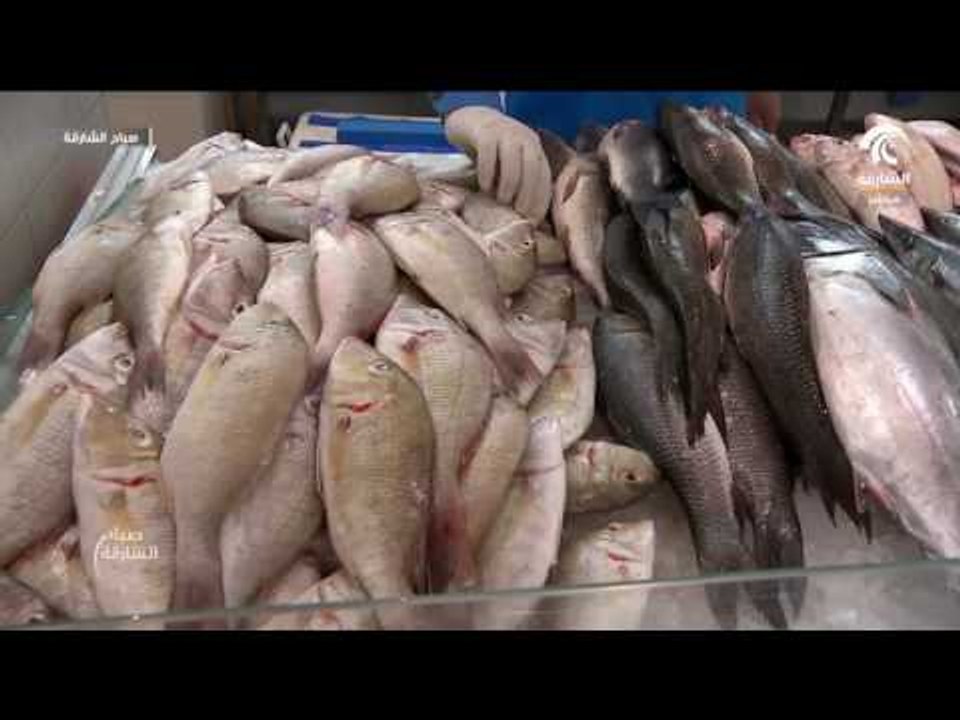 صباح الشارقة - جولة سوق الجبيل 07 / 08 / 2017