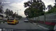 Shocking moment car driver throws puppy from window before good samaritan rescues it