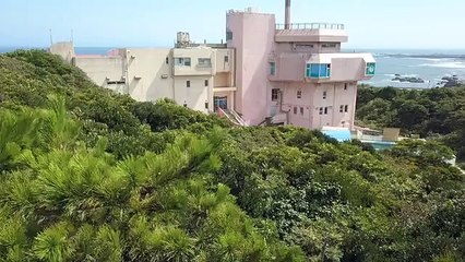 Ce dauphin abandonné dans un parc zoologique émeut les internautes