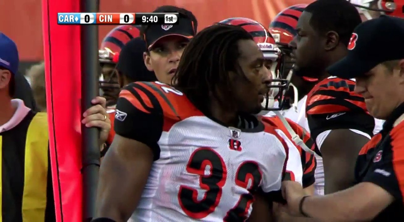 Carolina Panthers vs Cincinnati Bengals LIVE STREAM