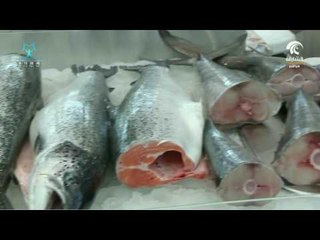 صباح الشارقة: فقرة سوقنا - سوق الجبيل 10/10/2016