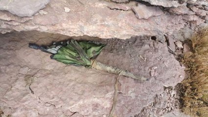 2 Bin 962 Rakımlı Tepede PKK'lı Teröristlere Ait Çok Sayıda Malzeme Ele Geçirildi