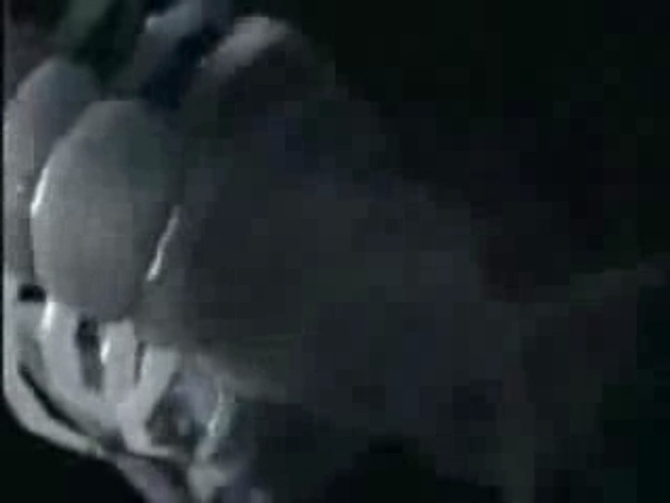 Static - Mentally Disturbing