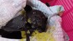 Rescued Bat Makes a Mess While Enjoying Fresh Mango