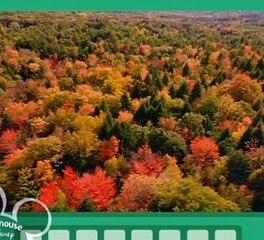 Little Einsteins - S01E27 - A Brand New Outfit