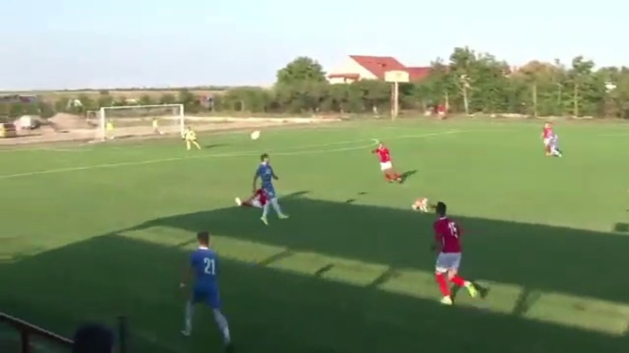 Un chien vient tacler un joueur de foot en plein match