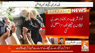 Hamid Mir Gave Bad News Regarding Shahbaz Sharif