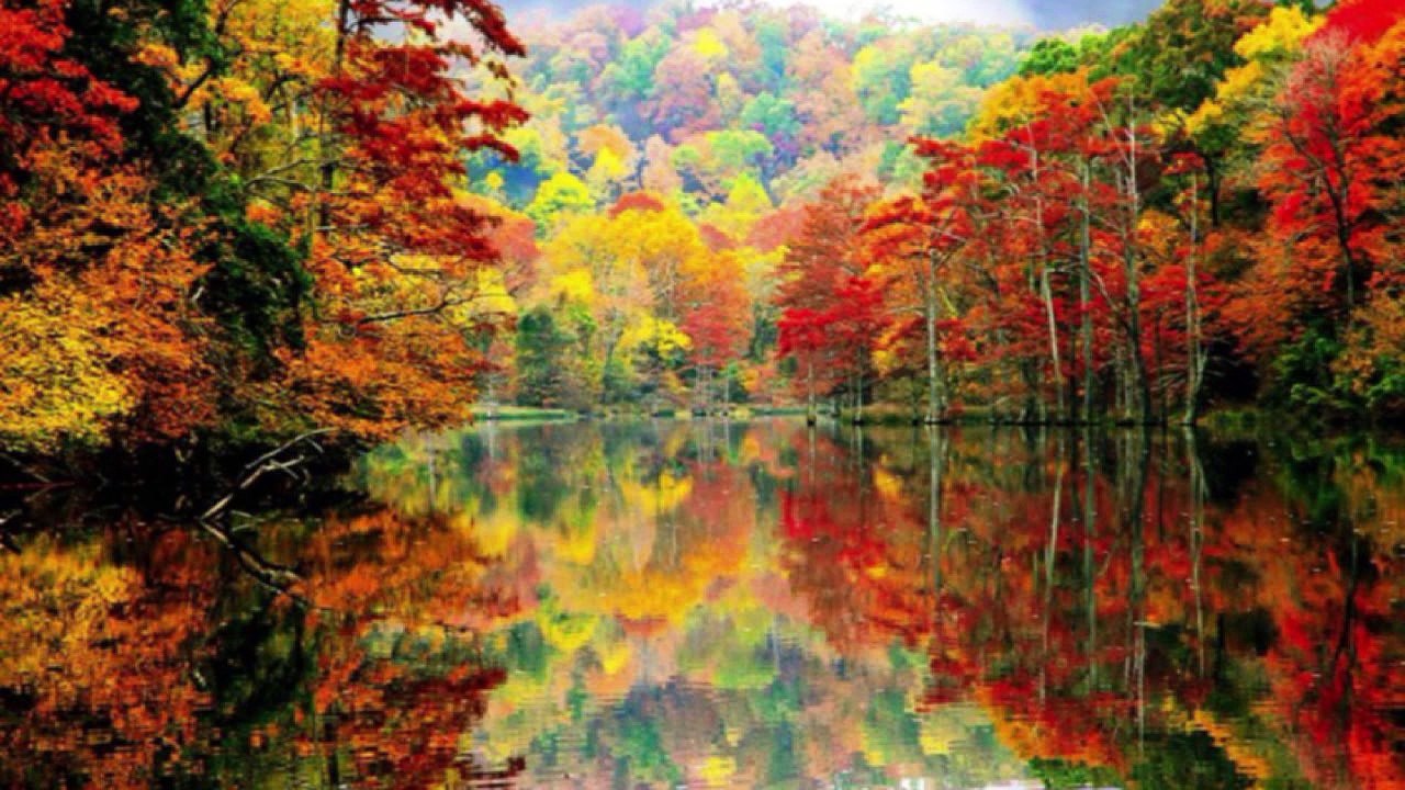 Autumn Leaves (JazzFunk vers, G minor) Backing track HD720 m2 basscover2 Bob Roha