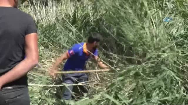 Kağızman'da Sedanur'u Arama Çalışmaları Sazlıkta Yoğunlaştı