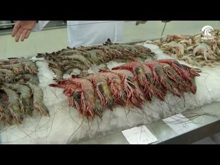 صباح الشارقة: فقرة سوقنا - سوق الجبيل 12/12/16