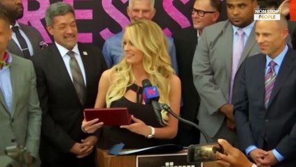Donald Trump : Stormy Daniels dévoile les détails crus de sa relation avec le président américain