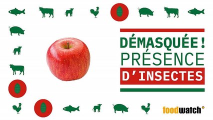 De l'huile d'insecte dans vos yaourts ou vos pommes  ?