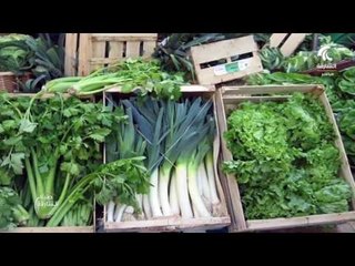 صباح الشارقة ..  تعرف على الكرفس واهم فوائده المدهشة