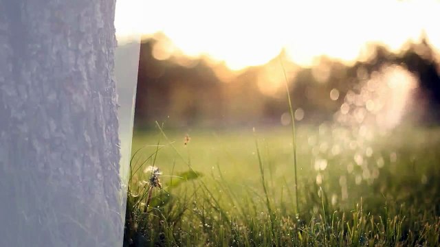 A vendre - Appartement - Romont (1680) - 3.5 pièces - 77m²