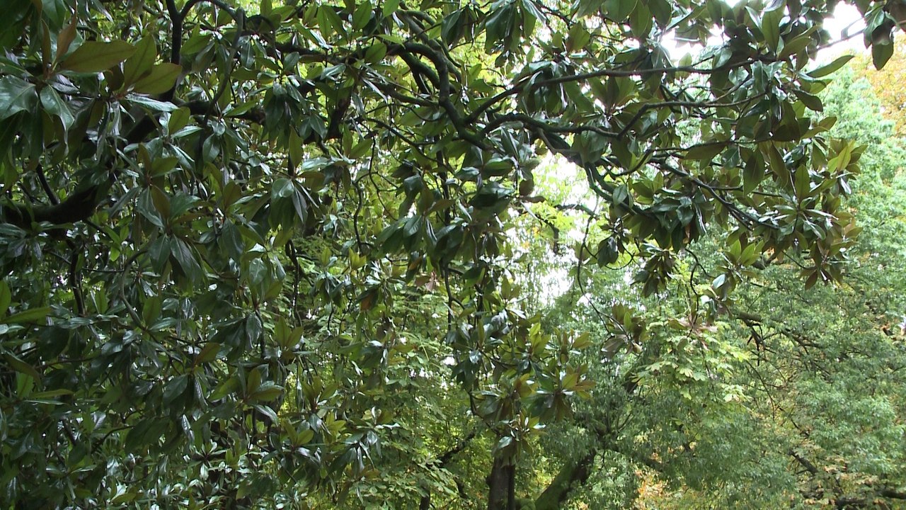 AEMET espera un otoño más cálido de lo normal