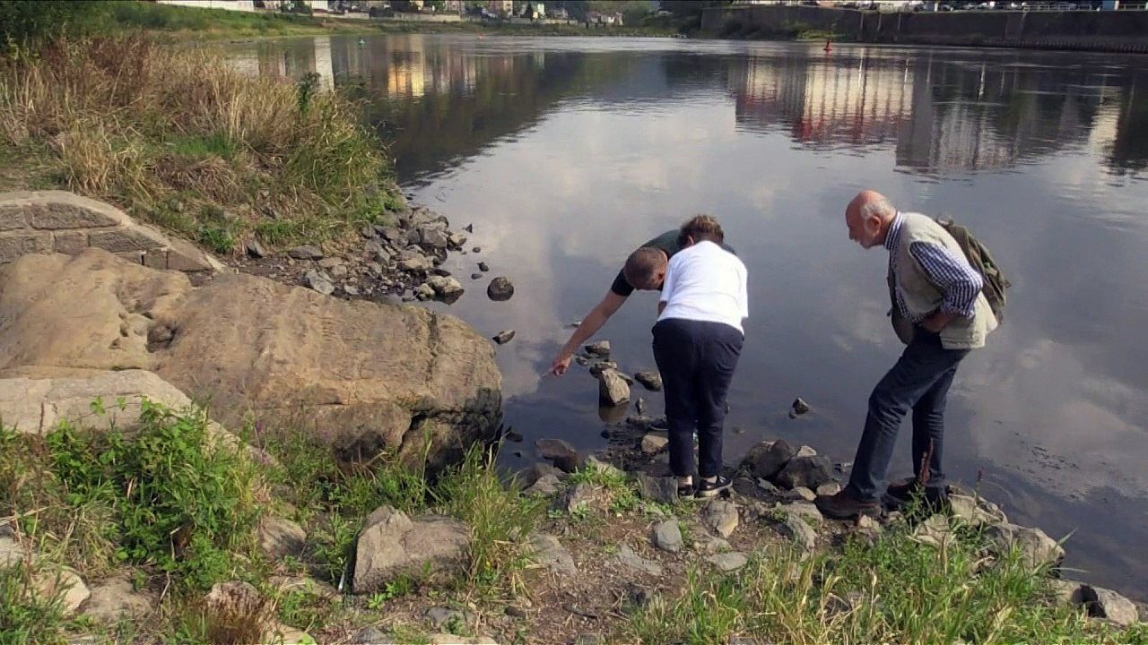 'Wenn du mich siehst, dann weine': Hungersteine in der Elbe