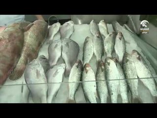 صباح الشارقة : أسعار سوق الجبيل