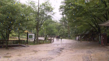 "육로로 백두산 갈 날 기다려"...기대 부푼 시민들 / YTN