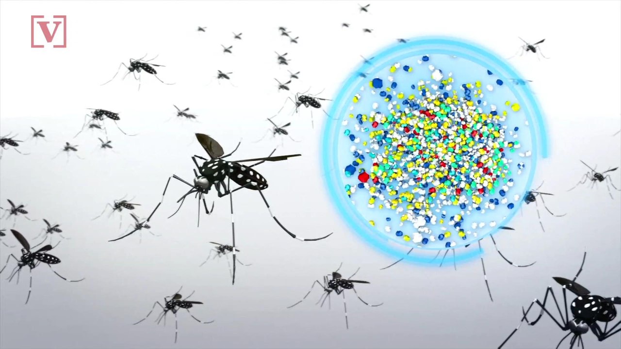 Mosquitoes Are Eating Plastic. Why That's A Big Problem.
