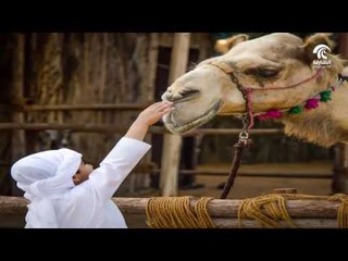 برنامج أماسي -  المصور الفوتوغرافي عمرو العوضي