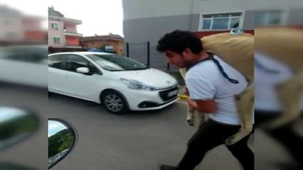 Hasta köpeği tedavi ettirmek için 500 metre sırtında taşıdı