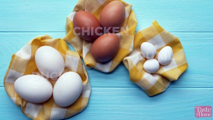 Eggs Three Ways Duck Chicken and Quail