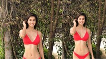 Disha Patani gets TROLLED for new Bikini look | FilmiBeat