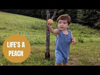 Couple who planted peach tree capture moment son ate peach from it nine years later