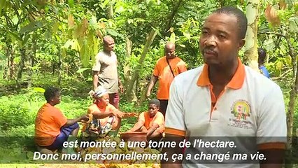 La Côte d'Ivoire se convertit au commerce équitable de cacao