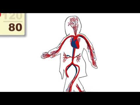 أخبار الدار: مرض ارتفاع ضغط الدم الشرياني من أكثر الأمراض شيوعاً في العالم