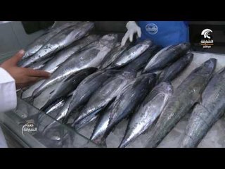 صباح الشارقة: فقرة سوقنا - جولة في سوق الجبيل