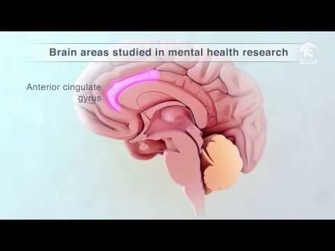 أخبار الدار: بلدية الشارقة تحتفل بيوم الصحة العالمي (دعونا نتحدث عن الاكتئاب)