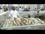 #أخبار_الدار : سوق الجبيل بالشارقة يشارك في حملة منع صيد وتسويق أسماك الشعري والصافي العربي