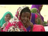 الهلال الأحمر الإماراتي مسيرة عطاء في وجه التحديات على أرض الصومال