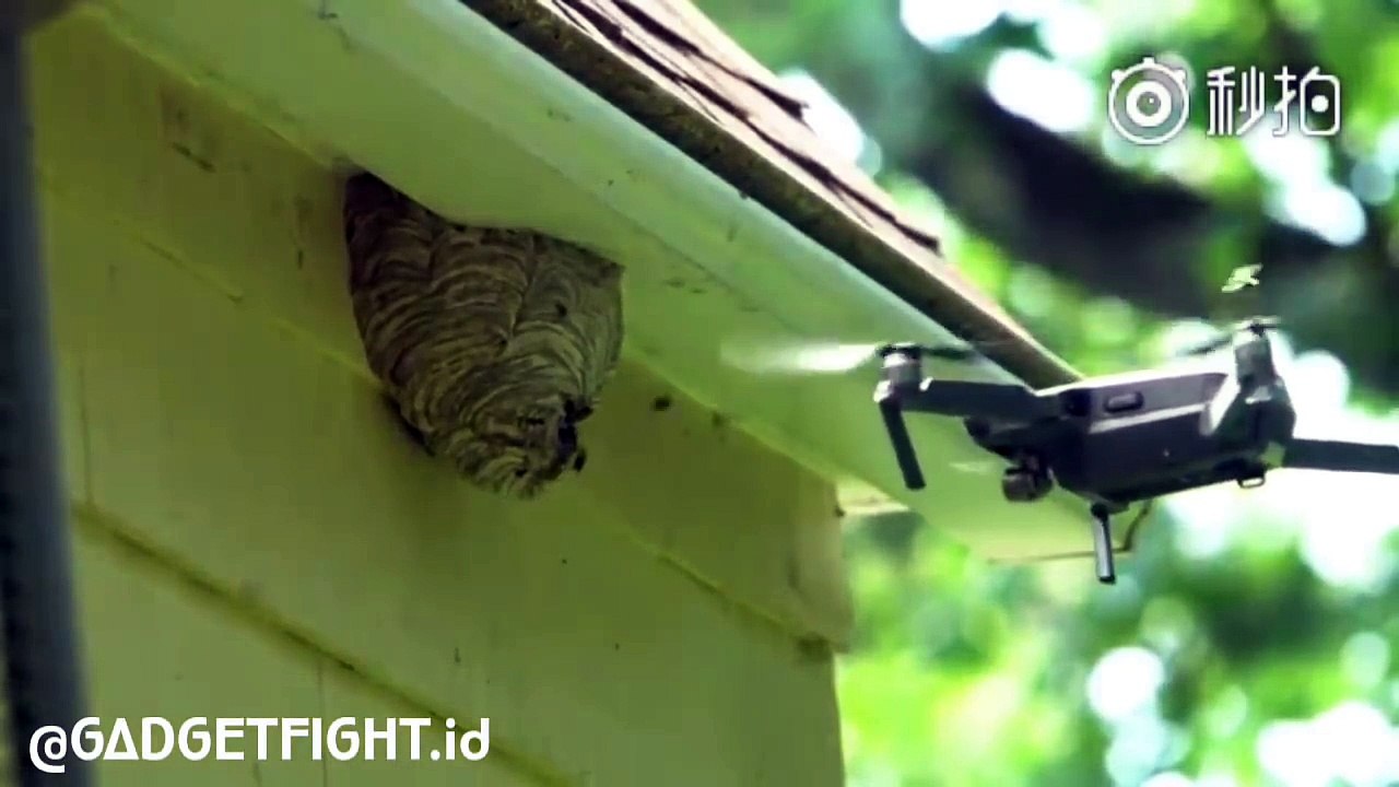Un nid de guêpes détruit par un drone qui devra...