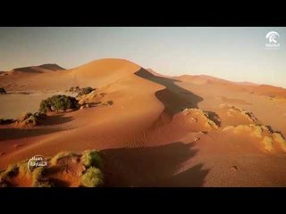 صباح الشارقة: النظام البيئي