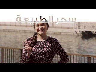 أخبار الدار : قناة الشارقة تفوز بـ “ أفضل عمل إنتاجي للهوية المؤسسية” على مستوى العالم لعام ٢٠١٧ .