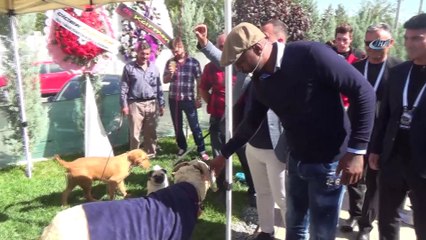 Sosyal medya fenomeni koç Alex, dünya evine girdi