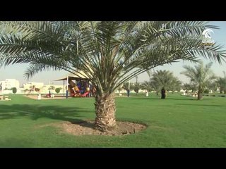 الخط المباشر: سعادة / ثابت الطريفي - مدير عام بلدية مدينة الشارقة