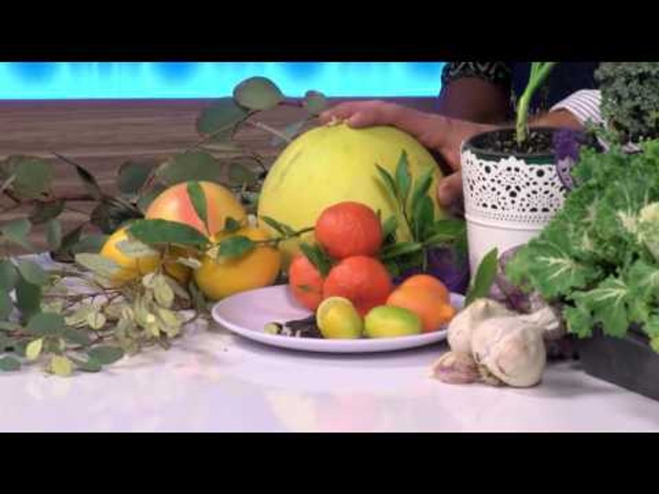 12 15 rohner greenthumb
